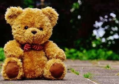 A golden teddy bear with a bow tie sitting on grass