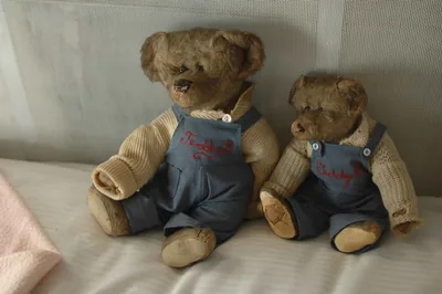 Two well loved teddy bears in dungarees
