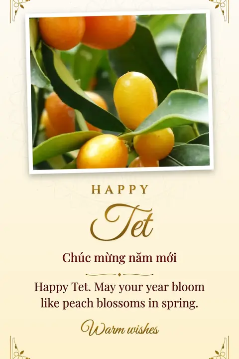 Tet wishes image: Happy Tet. May your year bloom like peach blossoms in spring.