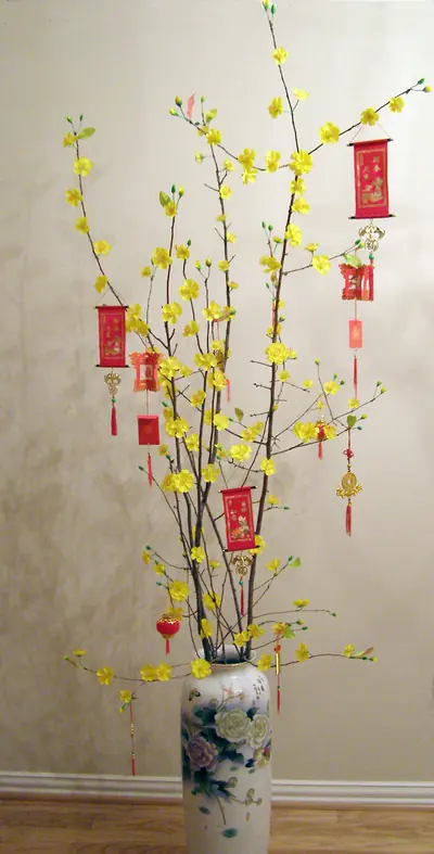 Yellow apricot blossom branches hung with small red envelopes