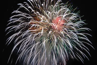 Fireworks bursting in the night sky