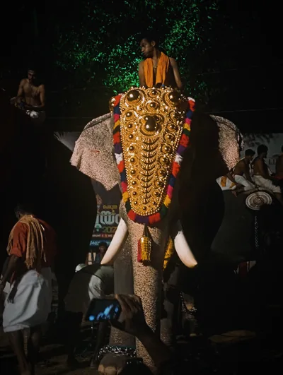 A temple elephant wearing a golden nettipattam headdress at a Kerala festival at night