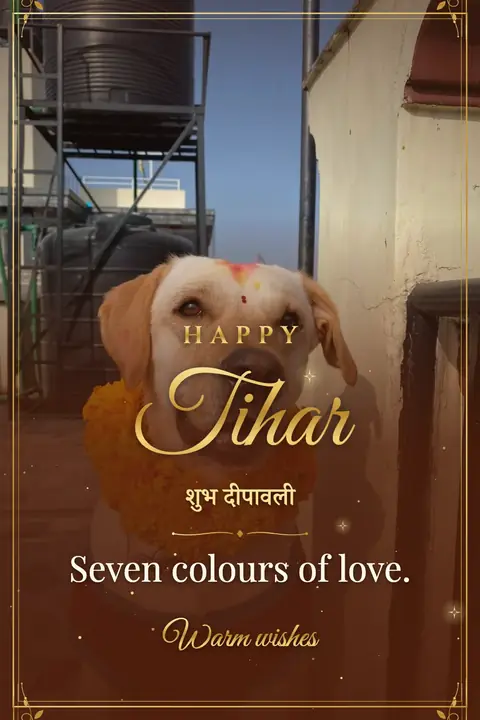 Tihar wishes image: Seven colours of love.