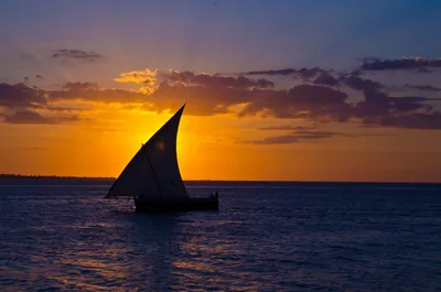 A sailing dhow on the sea at sunset