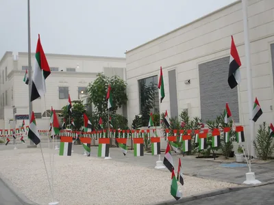 Rows of small UAE flags in red, green, white and black lined up outside a building