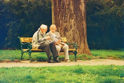 An older couple sitting on a park bench under a tree