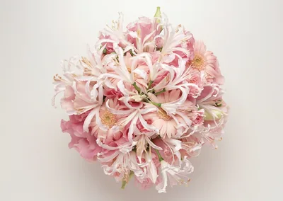 A round bouquet of pale pink lilies on white